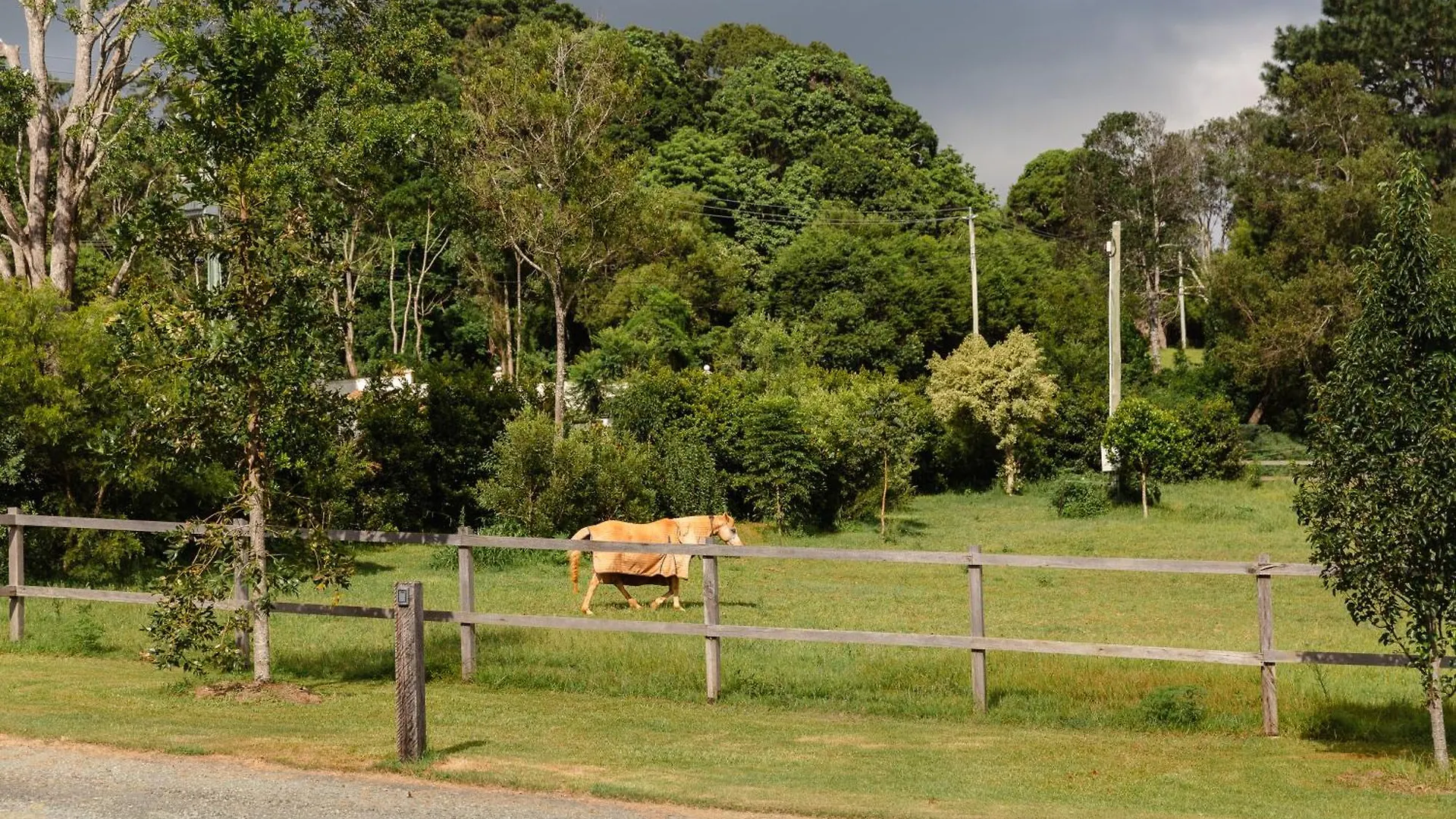 The Gatekeeper'S Cottage North Tamborine
